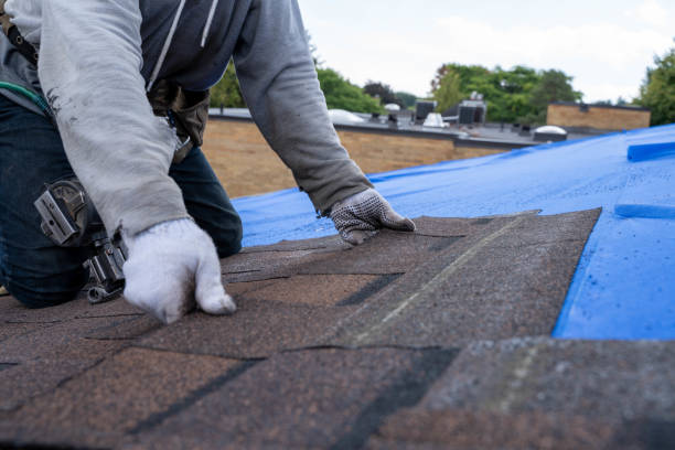 Best Local Roofing Companies  in Crawford, GA