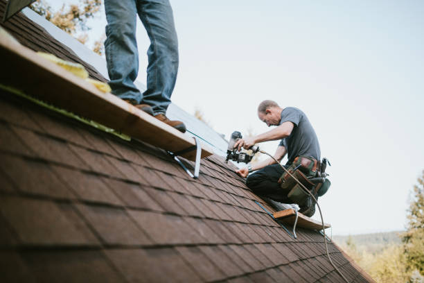 Best Gutter Installation and Roofing  in Crawford, GA